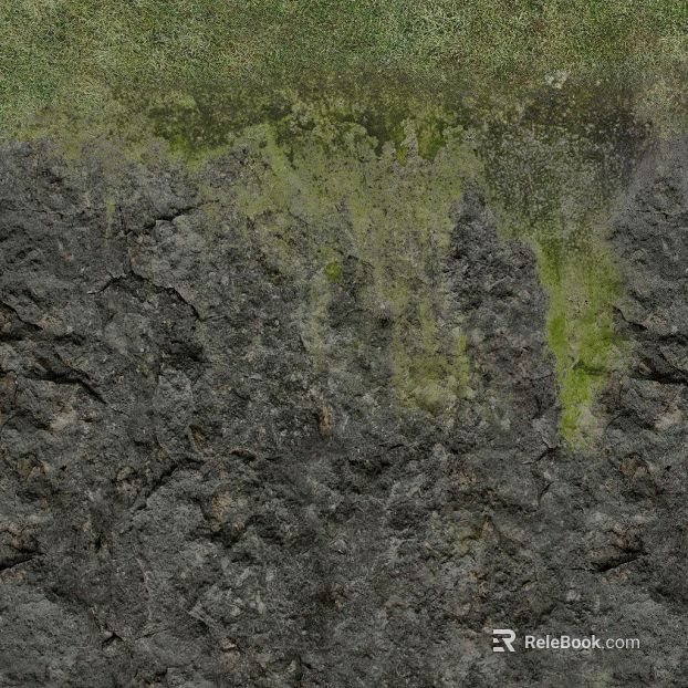 gray green rock moss outdoor ground texture