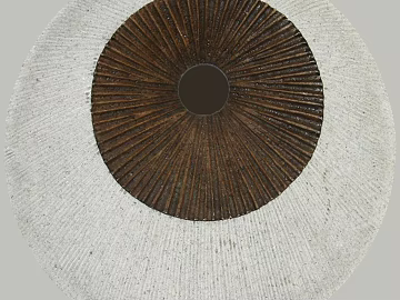 three-dimensional physical painting texture (ID:ffagg37126)