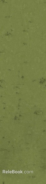 Moss green cement texture wall texture