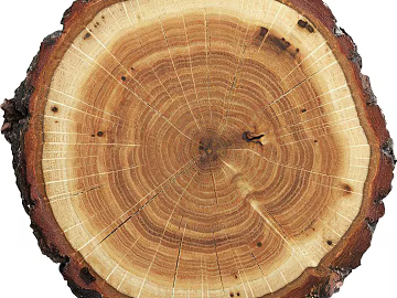Wood texture (ID:ffaeh156927)