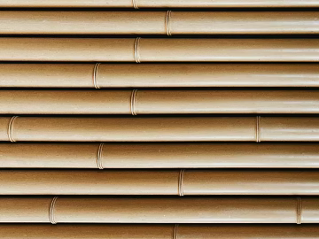 Bamboo texture (ID:ffagg49338)