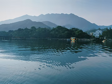 Wild Scenery texture (ID:ffaeg06142)