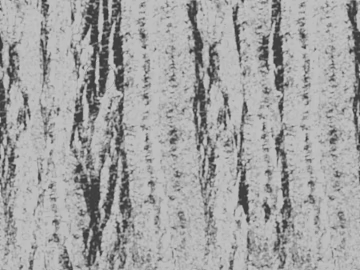 Black and White Bump texture (ID:ffach857950)