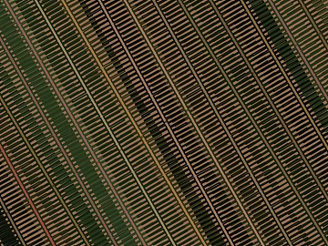 geometric line texture (ID:ffabg01403)