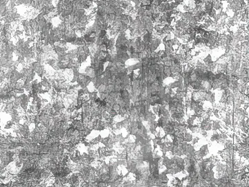 cement wall seamless texture (ID:ffacg59542)