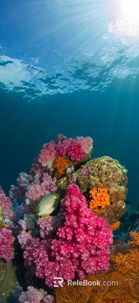 Fish tank texture