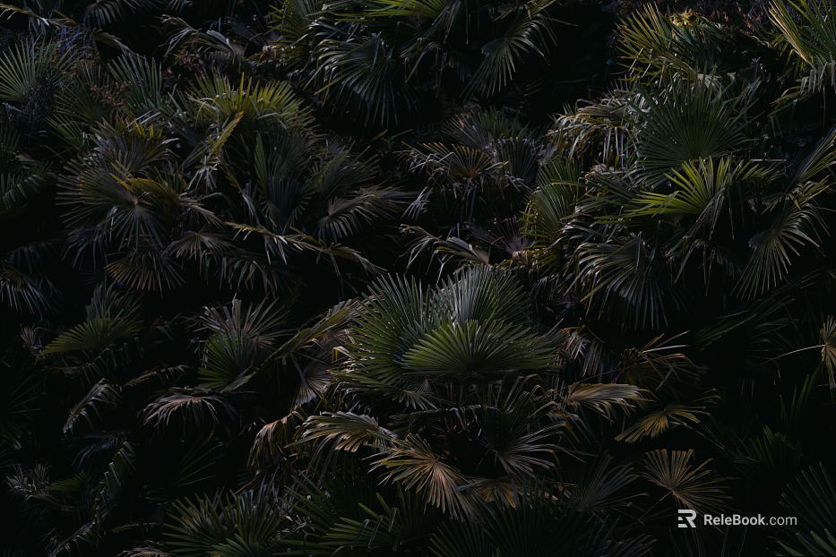 leaves texture