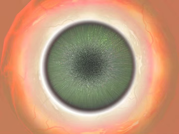 Five senses texture (ID:ffajg96161)