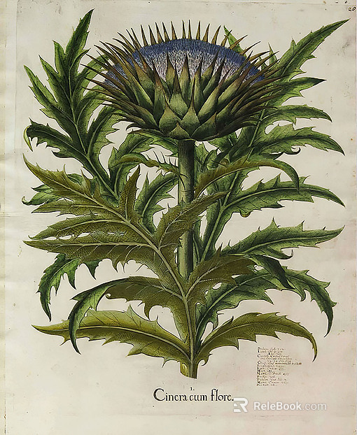 Plant painting texture