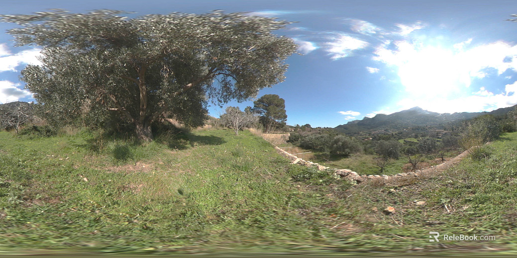 Outdoor Mountain Forest Day HDR texture