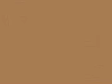 Light curry plain wood grain interior finish texture (ID:ffaeh215384)