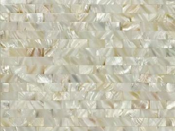 Brick wall super white shell mosaic texture (ID:ffaag96031)