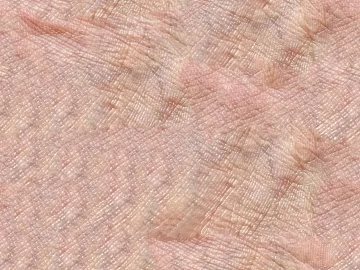 Skin texture (ID:ffabg79336)