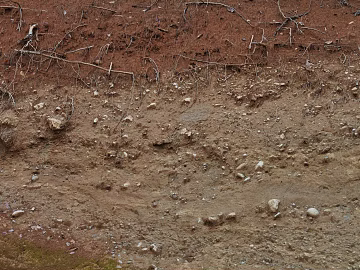Sand texture (ID:ffabg90679)