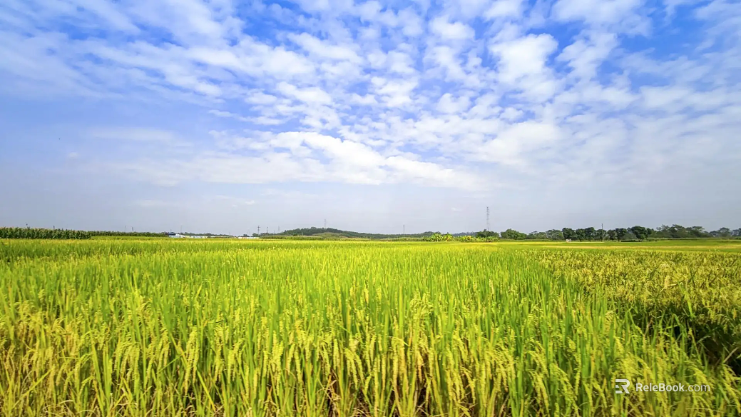 Wild Scenery texture