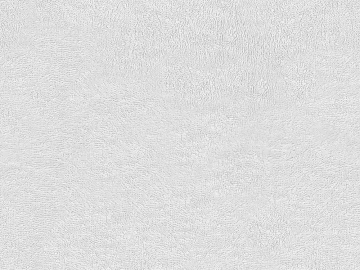 Coarse carpet 3d model
