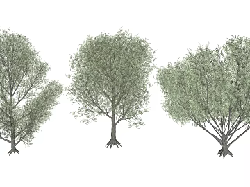 Plants 3d model