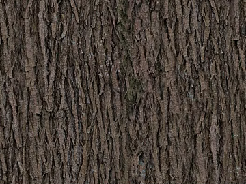 bark texture (ID:ffach442236)