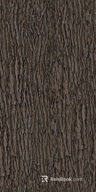 bark texture