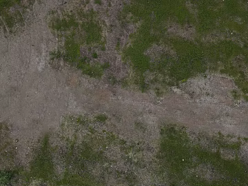 earthy yellow gray green earth ground texture (ID:ffaeh186066)