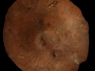 Red brown rock wall ground 3d model