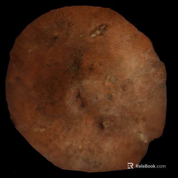 Red brown rock wall ground texture
