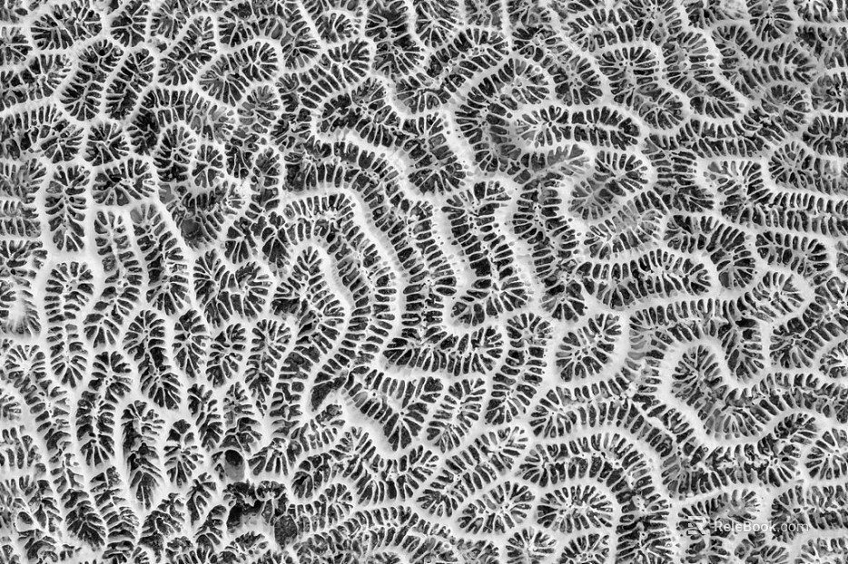 Black and White Bump texture