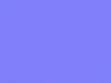 Normal Bump 3d model