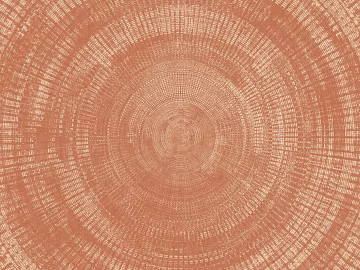 Outdoor red parquet floor tile texture (ID:ffagf8317)