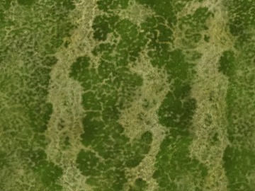 leaves texture (ID:ffajf0684)