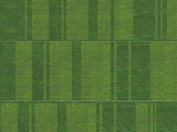 Turf texture (ID:ffaeg08207)