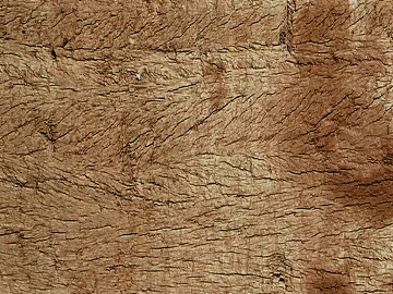 old wood old wood grain gray texture (ID:ffabg70403)