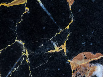 Black Golden Flower Marble texture (ID:ffach479974)