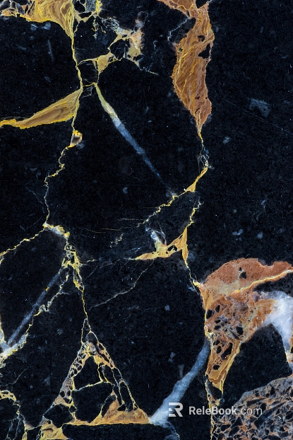Black Golden Flower Marble texture