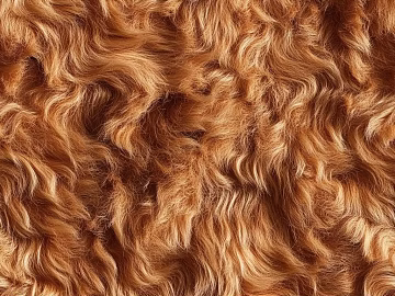 Animal Blanket texture (ID:ffach376078)