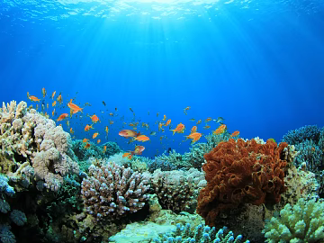 Fish tank texture (ID:ffach675974)