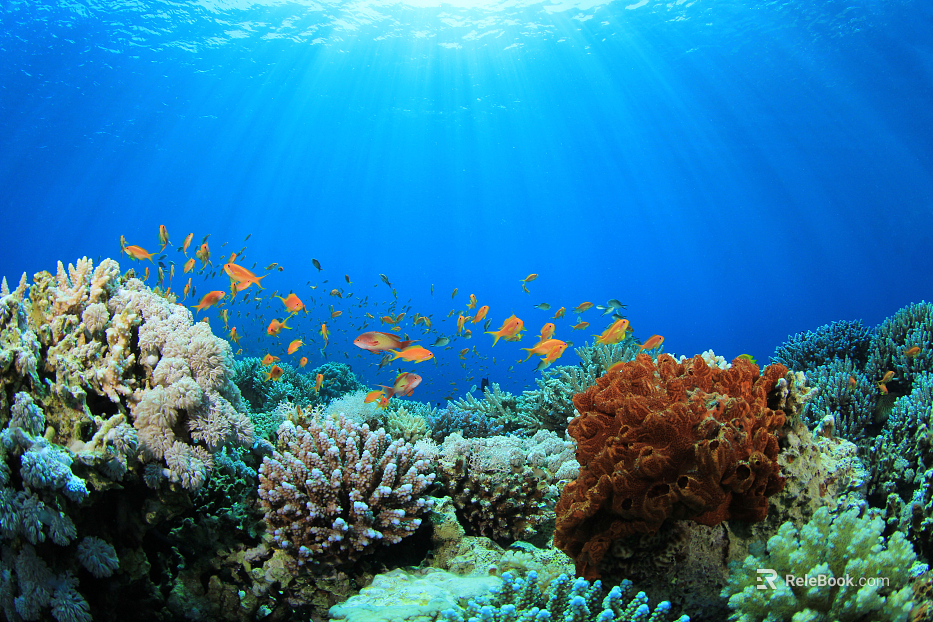 Fish tank texture