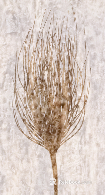 Plant painting texture