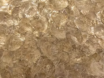 Do the old metal hammered metal plate shell plate texture (ID:ffaeh976067)