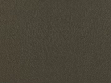Coarse-grain leather texture (ID:ffaeg66121)