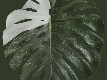 leaves texture (ID:ffaag88462)