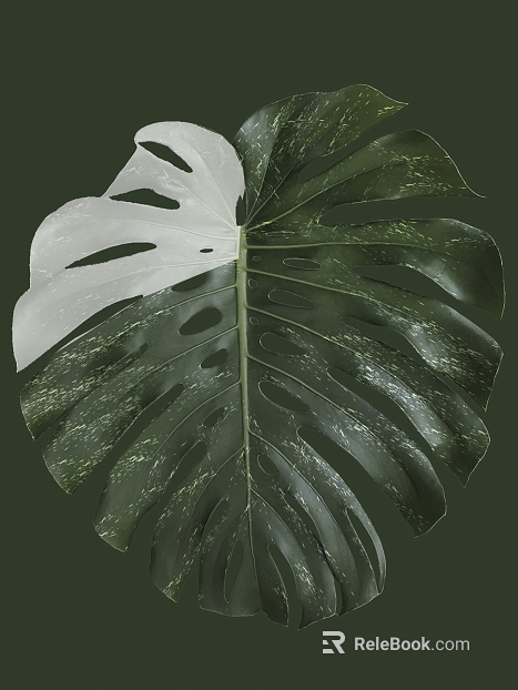 leaves texture