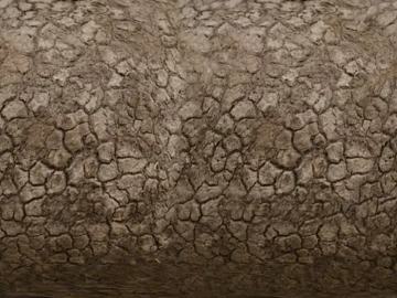 Mud texture (ID:ffacg28882)