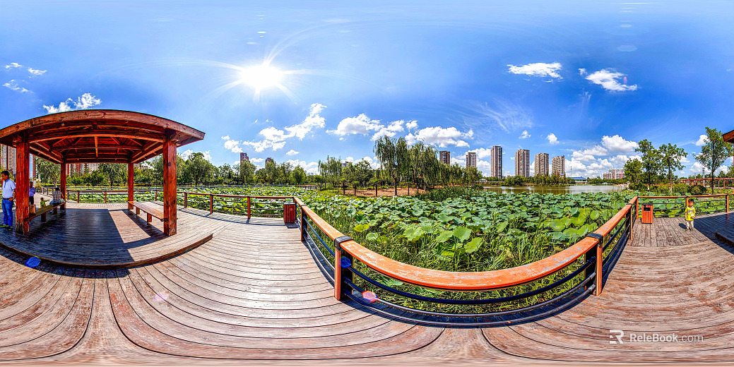Outdoor Park Gazebo Lotus Pool Sunny Day Day HDR texture