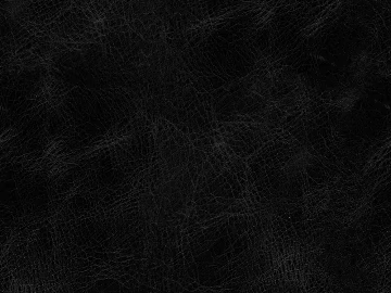 fine grain leather 3d model