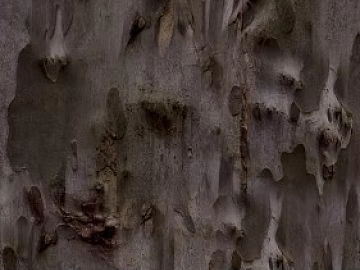Gray brown tree bark natural texture (ID:ffaeh382416)