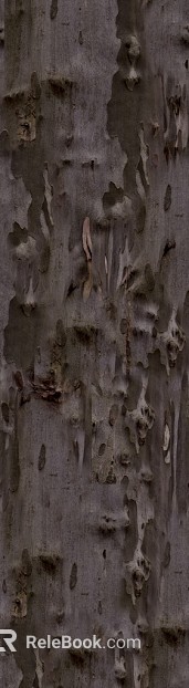 Gray brown tree bark natural texture texture