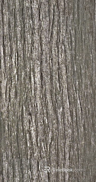 bark texture