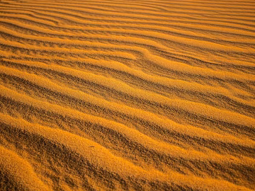 Sand texture (ID:ffagg67965)
