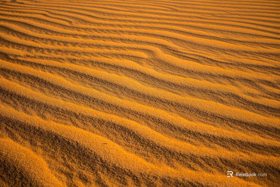 Sand texture